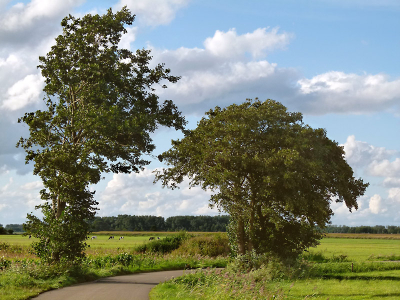 Er is een enge poort naar de scherven van akkers en velden, naar de schuivende panelen van wolken en luchten. 
Hier liggen de mozaeken die geen hand leggen kan.
De poortwachter overvraagt niemand; een wijde blik en een onvertroebeld oog volstaan.