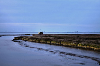 vanaf de leuning van een brug deze foto gemaakt
van de vogelkijkhut.