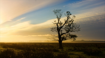 Deze foto is nog van afgelopen zondag, waar ik nog een paar foto's kon maken van de zonsopkomst met de al bekende boom in de voorgrond. Ik vond hier het sfeertje met de lucht wel aardig.