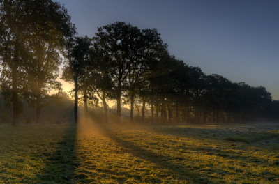 De hele week al uitgekeken naar deze ochtend waarop mist en vol op zon was voorspelt. 's Ochtends vroeg dan ook gelijk die kant op gegaan.