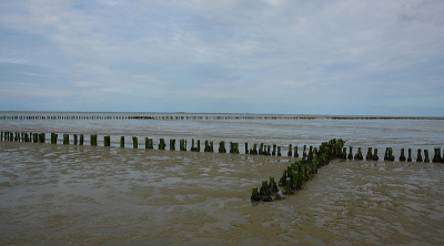 Nog een foto van een tijdje geleden. In de laatste week van de zomervakantie was ik met mijn vader nog een dagje naar de waddenkust geweest. Daar heb ik onder andere deze foto bij Holwerd kunnen maken