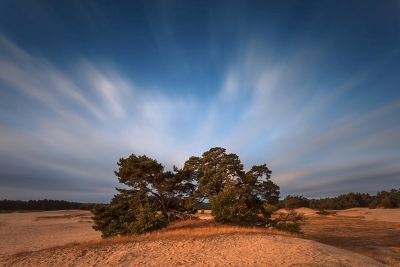 Deze foto is afgelopen zaterdag gemaakt in Kootwijkerzand. Eerst een hoop regen, maar zodra de zon er was kon ik een mooie plaat maken met de "Big Stopper".