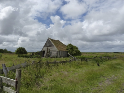 Het was deze zomer een vakantie met slecht weer op Texel. Maar elke dag heeft mooie momenten als je ze maar wil zien.