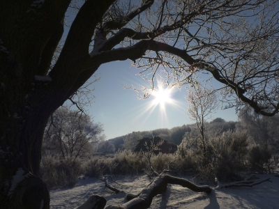 Ik ben gisteren foto's aan het uitzoeken geweest. En ik kwam deze tegen. Ik weet het nog goed het was -20 die morgen. Wat zal deze winter ons brengen? Gelukkig weten  we dat niet. Ik vind hem prachtig. Wat vinden jullie?? Eerlijk antwoord graag. Ik wil er van leren. Groet Chris.