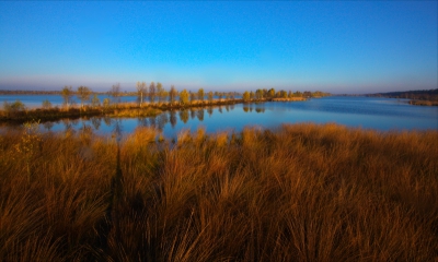 Vanochtend vroeg weer met een vriend van me op pad geweest om foto's te maken. We hadden om 6.15 afgesproken om zo een aardig stuk te kunnen fietsen voor de zon op kwam. We hebben aardig wat leuke foto's kunnen maken. We moesten er dan ook bijna 70km voor fietsen :D