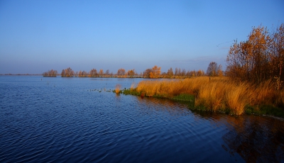 Vanochtend vroeg weer vroeg afgesproken met een ook fotograferende vriend van me. Helaas zaten er nogal wat wolken in de weg voor zonsopkomst foto's, maar gelukkig gaf de zon later nog wel mooi licht