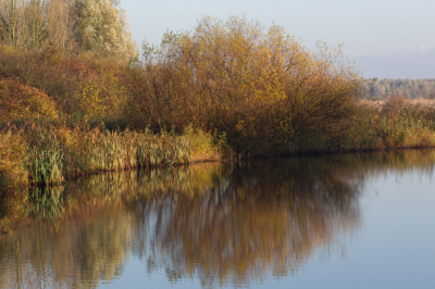 Vanmorgen op tijd opgestaan en kunnen genieten van het mooie licht bij de Oostvaardersplassen. Foto gemaakt vanuit De Poelruiter.