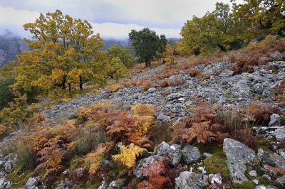 Bijna een hele dag regen en maar wachten op een stukje droog. Het was de moeite waard! Las Villluercas is een prachtig berggebied in Extremadura, nauwelijks bekend. November is er de mooiste maand!