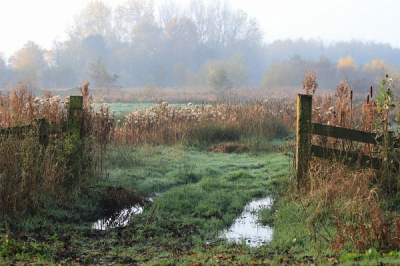 De zon kwam net boven de bomen uit, en aan het eind van de berkenlaan richting Weesp, staat dit hek, toegang tot een zompig weiland. Uit de hand, BDsizer - Sharpend 15%, niets meer...