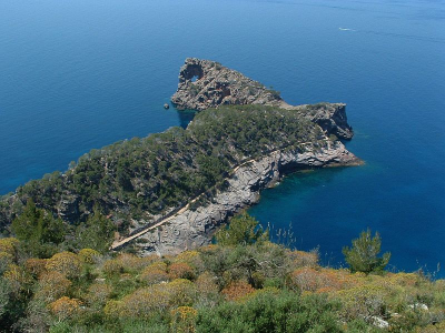<i class='fa fa-user'></i> Art | Mallorca  <i class='fa fa-eye'> 401</i>   <i class='fa fa-comment-o'> 2</i>