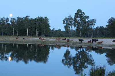 Deze foto heb ik afgelopen zomer net na zonsondergang genomen.