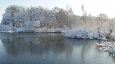 Op deze mooie zaterdag morgen nog even naar het bos om foto,s te maken,er begon zich al ijs te vormen op het water maar in het midden was nog een beetje spiegeling van de kant te zien.