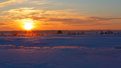 Deze zonsopkomst afgelopen zaterdag mogen meemaken onder een temperatuur van -10 en een laag sneeuw van rond de 20 a 25 centimeter op het kootwijkerzand en met het gras bevroren met een laag rijp dat op ene gegeven moment wilde oplichten.