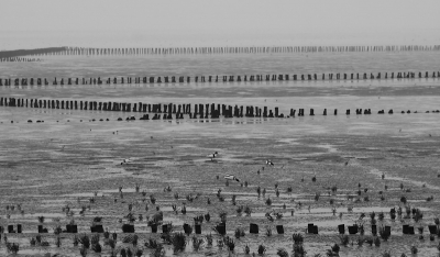 Het was een sombere, grauwe dag. Het bleek dat de lijnen van het landschap mooi te zien waren op de foto.
Dat nodigde uit tot het zoeken naar een geschikte compositie.