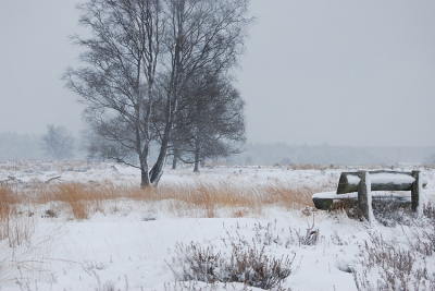Vanuit de veluwe iedereen hele gezellige kerstdagen en een gezond en gelukkig 2012 gewenst.