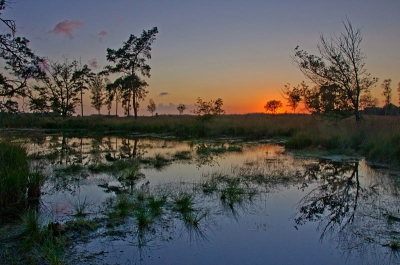 Tijdens een fotoshoot met collega natuurfotograaf Johan van de Watering met zonsondergang toch wat natte voetjes gekregen. Vanaf de rand van een ven konden we dit tafereel mooi vastleggen. Het is al een paar maandjes geleden en doet me weer verlangen naar de wat drogere periode's. :)
