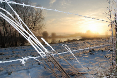s'morgens vroeg opgestaan om foto's van sneeuw in de mist te kunnen maken
gemaakt op statief