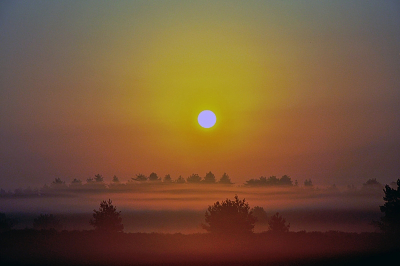 Hij is al iets meer dan een jaartje oud, en omdat fotograferen er een beetje bij inschiet deze maar eens geplaatst. Zware nevelige ochtend, met een opkomst van de zon boven de nevel uit.