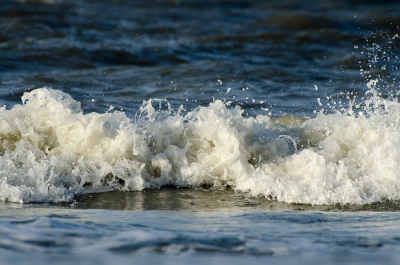 Lekker even naar het strand uitwaaien natuurlijk camera mee.