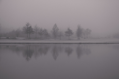 Het was een bijna windstille ochtend, in de verstilling van de mist genoot van dit mooie plekje. De foto is niet actueel, helaas niet voor de wedstrijd