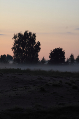 Einde van de avond tijdens zonsondergang, opkomende mist vanuit de bosrand richting zandvlakte.