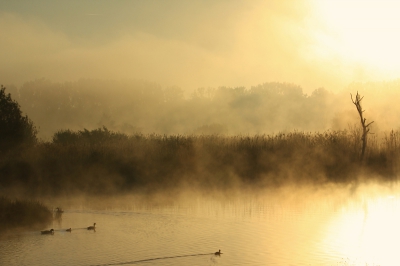 Een foto van een tijdje terug, ik twijfel een beetje daarom wil ik de afbeelding hier eens laten keuren!
