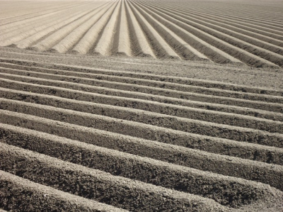 Op achterwerk gaan zitten, om goed laag zicht over het veld te hebben. Op de foto ongebruikt akkerland, praatje met boer, voorlopig geen bestemming, vond dat het land er wel netjes bij moet liggen.