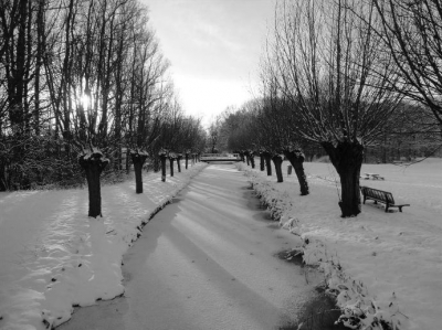 Natte voeten door waterdoorlatende schoenen, ijstenen! Gewoon doorlopen, er zijn zoveel mooie dingen te zien, die tenen warmen wel weer op...
