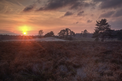 Een HDR samenvoeging van drie verschillende foto's, gemaakt tijdens een zonsondergang op het Hulshorsterzand.