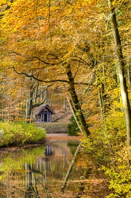Landgoed Elswout  is een prachtige omgeving voor een boswandelingen en telt vele sprookjesachtige huisjes en bruggetjes.