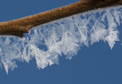 het huidige weer doet denken aan de vorstperiode vorig jaar. Na de extreem koude nacht met -20 en veel ruige rijp en sneeuw toen lekker op pad geweest om de ijskristallen vast te leggen