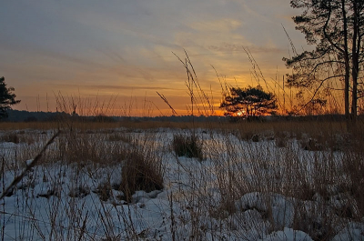 Vroeg in de ochtend op zaterdag ook even nog een paar foto's genomen van de zonsopkomst tijdens de foto-workshop in het kleine meer. Daarna in de keuken voorbereidingen getroffen om de deelnemers te voorzien van warme dranken en koek.