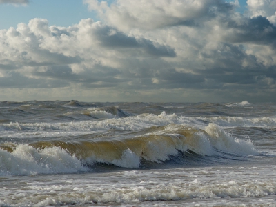 De foto is gemaakt met een Nikon D7000 +  Nikkor 85 1.4 tijdens een redelijk winderig dagje op het strand van Bergen aan Zee
