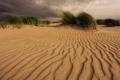Gemaakt in de Horsduinen op Texel.door een laag standpunt de nadruk iets op de lijnen in de voorgrond kunnen leggen.