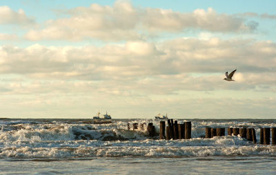 Foto is gemaakt met een Nikon d7000 + 85 1.4 af op het strand van Bergen aan Zee
