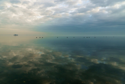 De foto is gemaakt op een ochtend met heel veel mist. De zee was al prachtig, maar pas toen het bootje in zicht kwam en de vogels op het water neerstreken, werd het beeld interessant om te fotograferen.