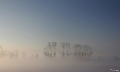 8 december 2012; de eerste dag dat er sneeuw lag en het wat mistig was.