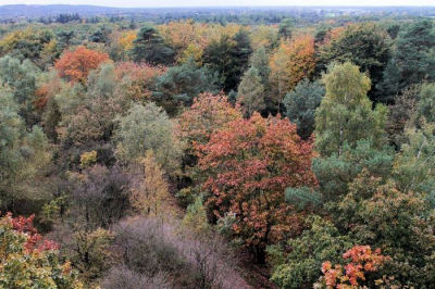 Opname gemaakt tijdens een herfstwandeling op Landgoed Eerde, vanaf een uitkijktoren en richting Ommen en uit de hand genomen met redelijk weer