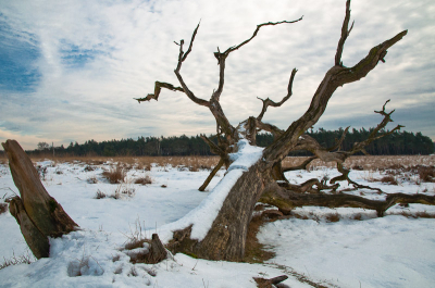 Koud, winderig, gevoel -8, veel liggend sneeuw. Mooie prachtige dag.