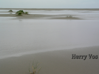Lopend langs het Noordzeestrand van Ameland zie je hoe zich nieuwe duinen vormen.
De horizon hoog, dan krijg je een goed idee hoe dat er uit ziet.