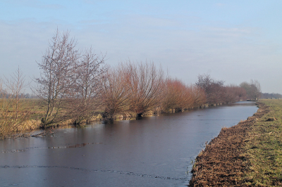 Gemaakt op 17 februari 2013. Een frisse winterochtend, , ik loop een weiland in om deze foto te maken. Het is nog heerlijk stil, puur genieten!