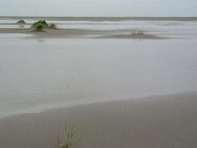 Aan het Noordzeestrand van Ameland worden continue nieuwe duintjes gevormd.
De horizon hoog laat dit proces goed uitkomen