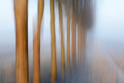 In de polders liggen veel dijken met bomen. Ik probeer deze dijkjes op veel verschillende manieren te fotograferen.