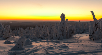 Vanmorgen was het bij ons een klein beetje wit. Lang zo mooi niet als dit sprookjesbos in Finland.
Net na zonsondergang