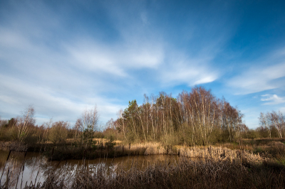Een beetje een grijze dag, besluit toch om op pad te gaan en daar ineens toch wat blauw in de lucht met daarbij prachtig licht.