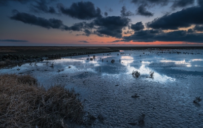 Na een mooie zonsondergang heb ik het blauwe kwartiertje even afgewacht. Was wel frisjes met -2 graden. Maar goed, als dat alles is....In elk geval heb ik het wad beleefd zoals ik dat altijd beleef; "Mooi, weids en heel stil, alleen de wind en een paar scholeksters waren te horen.