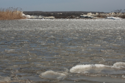 24 maart, en: stormachtige oostenwind, temperatuur rond het vriespunt, zon
Het opstuivende water bevriest in de lucht, aan de oevers en rond de rietstengels