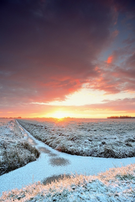 Koude ochtend in februari, het eerste licht komt binnen, maar is al snel weer verdwenen...