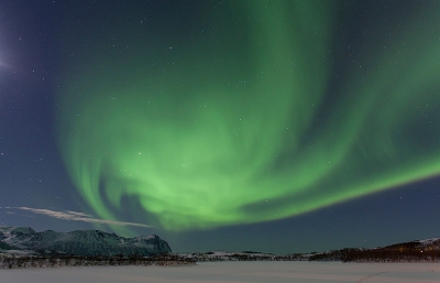 JW heeft al een foto geplaatst van onze trip naar de Lofoten met als doel Noorderlicht zien en fotograferen. Wat een bijzonder verschijnlsel: gedurende de tweede nacht dat we Noorderlicht zagen wisten we niet waar we kijken moeten: de hele hemel was groen. Het is moeilijk kiezen welke foto te plaatsen, maar ik zal er nog wel enkele plaatsen. Links zie je het schijnsel van de maan, waardoor het landschap ook mooi is belicht. Rechtsonder zie je nog net de Panstarrs komeet.