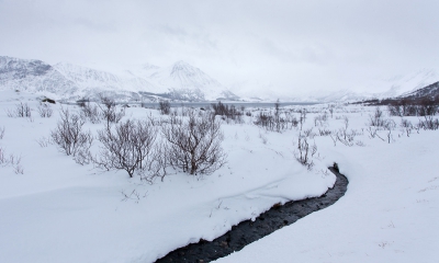 Na zo intensief met het Praktijkboek Landschapsfotografie bezig te zijn geweest heb ik mij heerlijk kunnen uitleven op het fotograferen van landschappen op de Lofoten. Wat een dankbaar landschap om te fotograferen!

Tijdens onze trip hebben we prachtig weer gehad, maar ik was heel blij met de sneeuw tijens de eerste dag van ons verblijf. De sfeer was fantastisch, vrijwel geheel zwart-wit. Hier brak de zon net iets door wat voor iets meer leven zorgt.